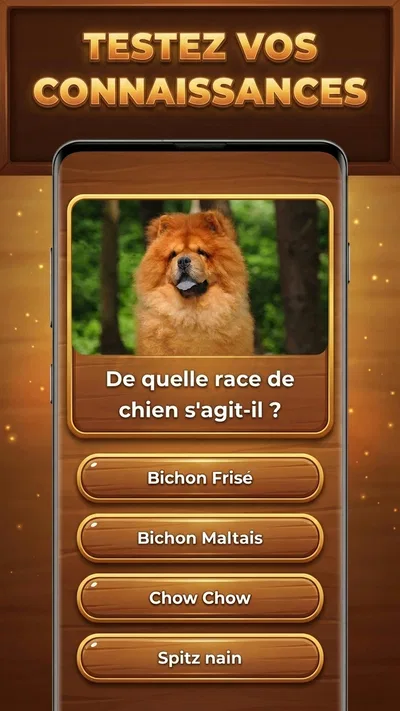 Capture d’écran 2 de Défi Trivia : Trivia Blocks